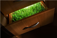 什么是綠色環(huán)保辦公家具？環(huán)保辦公家具標準是什么？